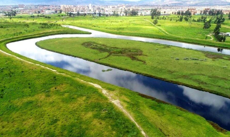 Día del Río Bogotá: Un llamado a la conciencia y la acción