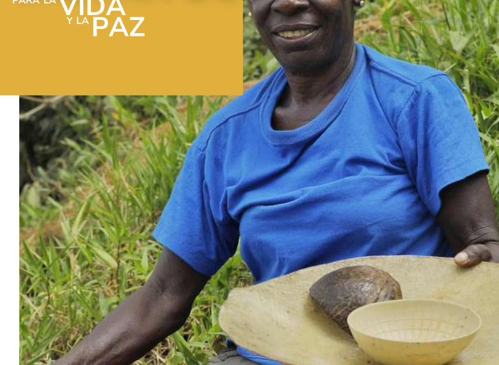 MINERIA Y DISTRITOS PARA LA VIDA