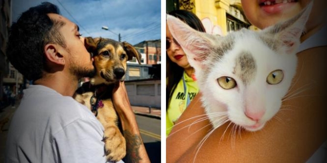 Los Mártires Avanza en Bienestar Animal: Brigadas Veterinarias Gratuitas en Febrero