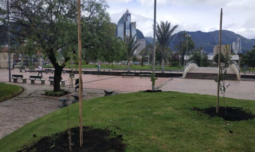 Riqueza y desafíos ambientales de la localidad de Los Mártires